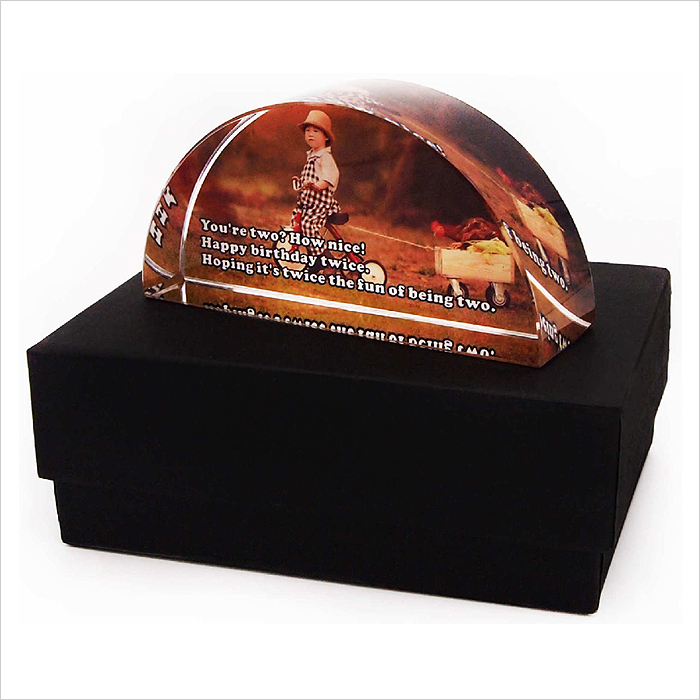 8209 - Crystal Paper Weight