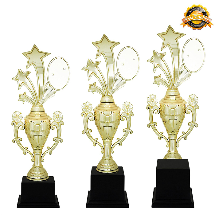 4079 - Star Trophy