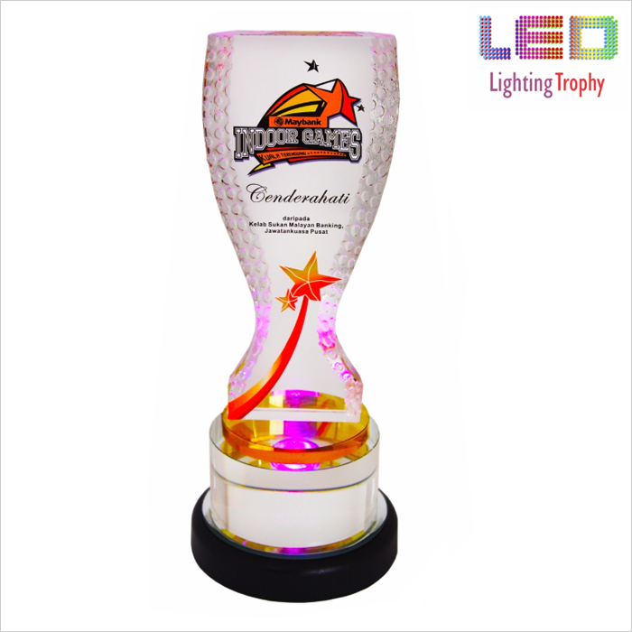 3073 - LED Lighting Trophy