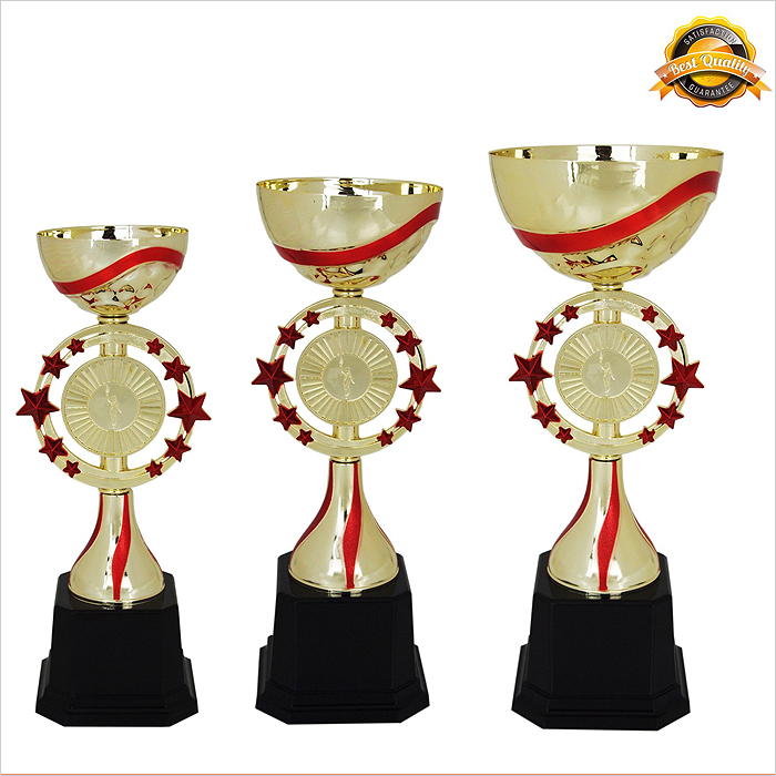 4005 - Metal Bowl & Star Trophy