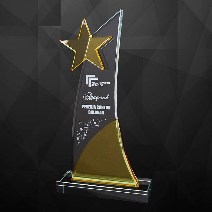 9228 - Exclusive Crystal Star Plaques