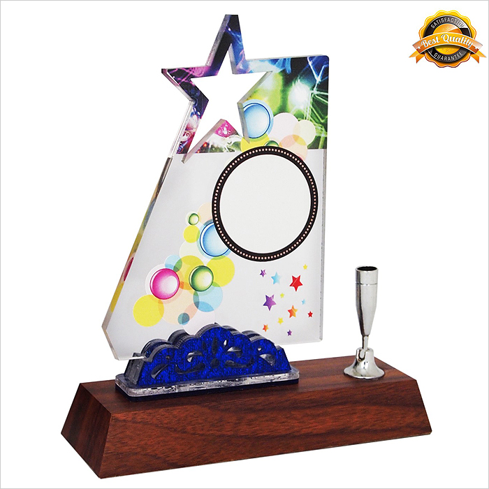 4137 - Acrylic Plaque (Star)