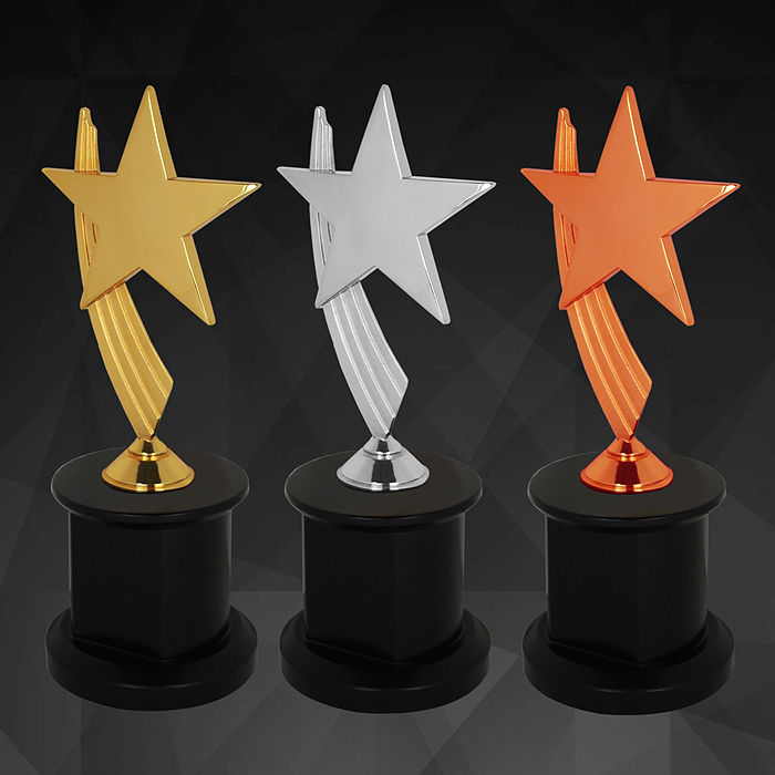 9147 - Exclusive Star Awards (GOLD, SILVER, BRONZE)