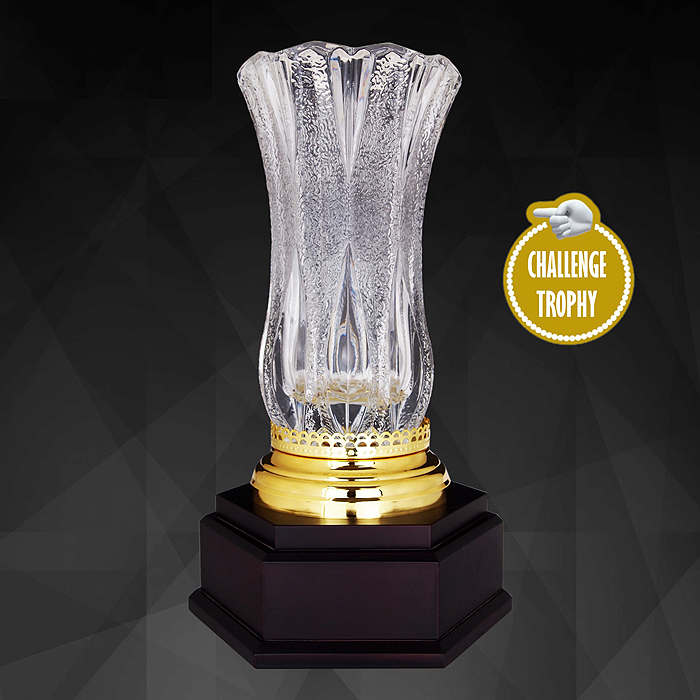 9195 - Exclusive Crystal Trophy