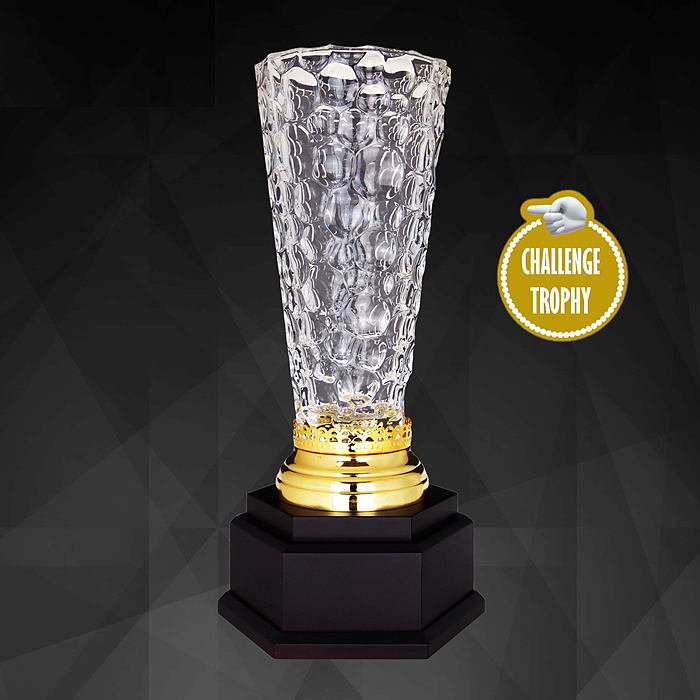 9196 - Exclusive Crystal Trophy