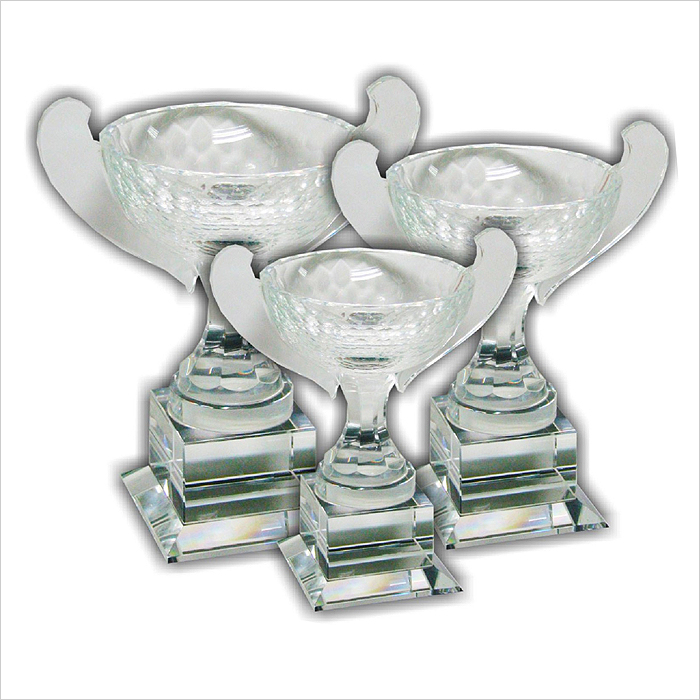 8123 - Exclusive Crystal Glass Awards