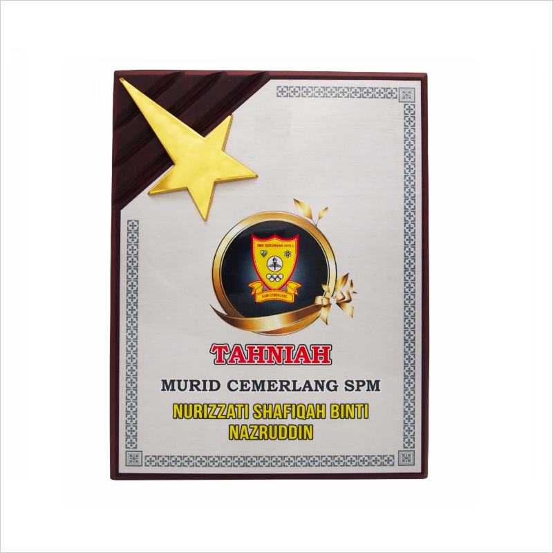 7087 - Wooden Plaque With Gold Star