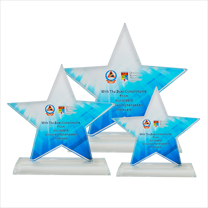 8256 - Exclusive Crystal Glass Star Awards