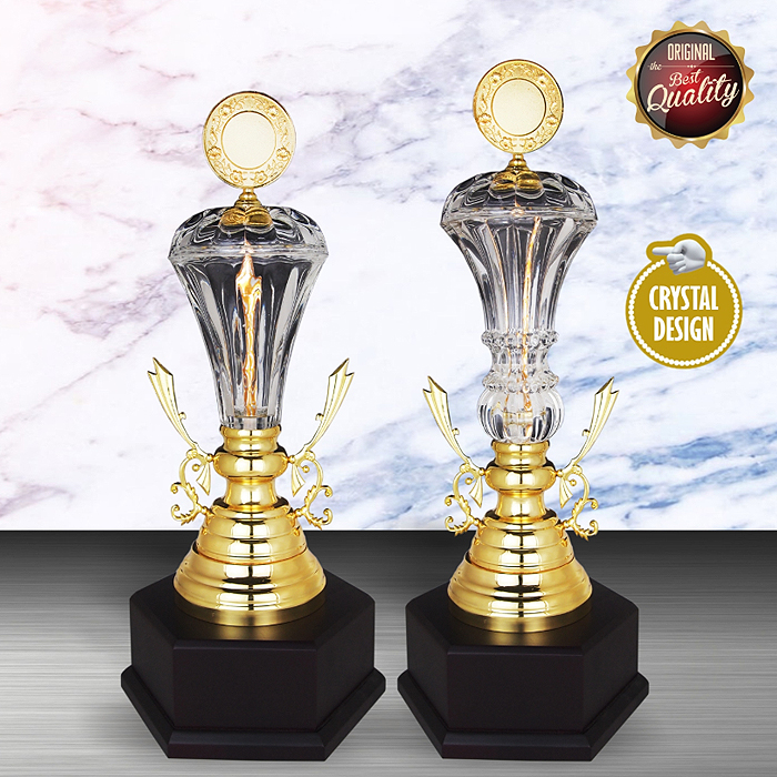 WS6142 - Exclusive White Silver Trophy With Crystal