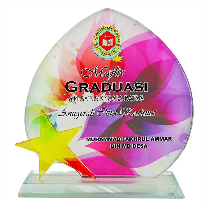 8255 - Exclusive Crystal Glass Star Awards