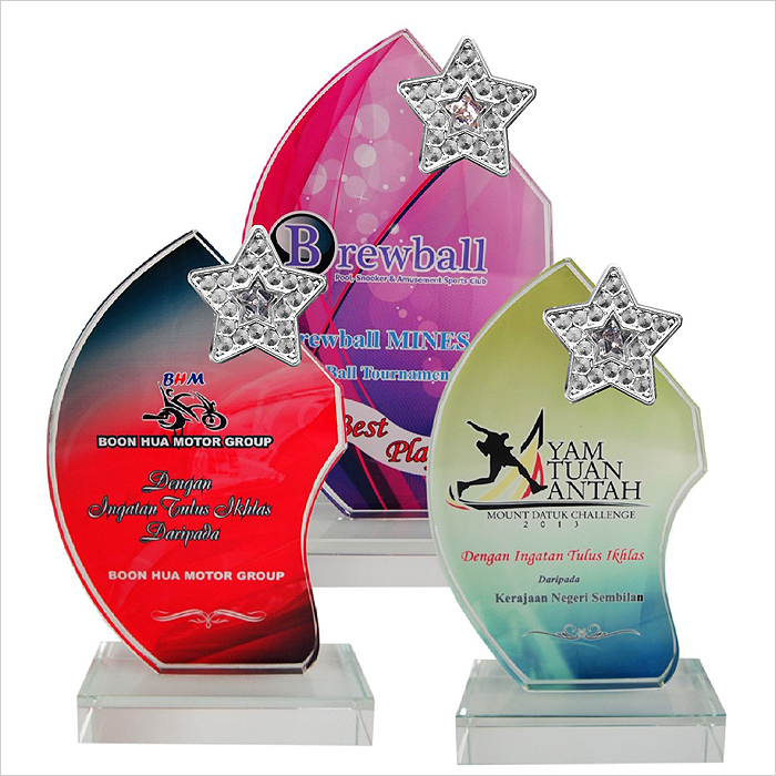 8202 - Exclusive Crystal Glass Star Awards