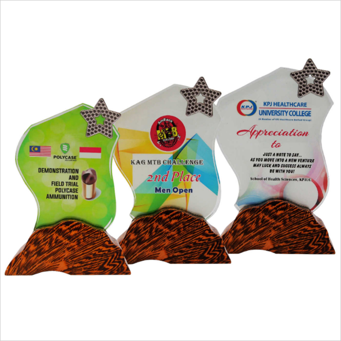 8317 - Colour Crystal Awards