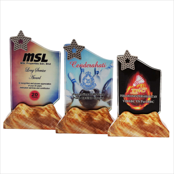 8322 - Colour Crystal Awards