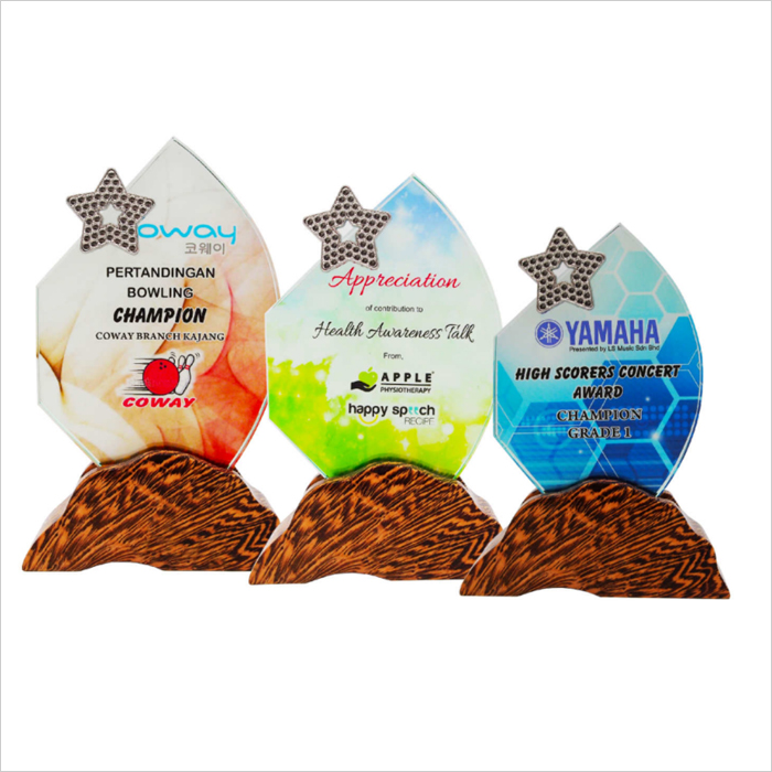 8324 - Colour Crystal Awards