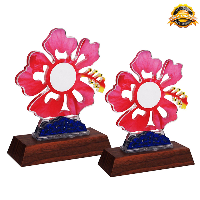 4139 - Acrylic Plaque (Hibiscus)