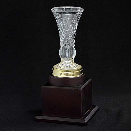 F67 - Acrylic Trophy