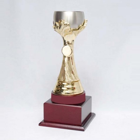 S19 Pewter Trophy