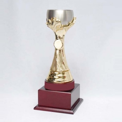 S19 - Pewter Trophy