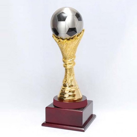 S12 Pewter Football Trophy