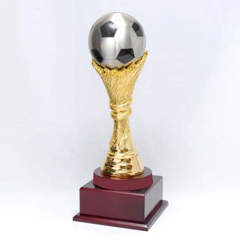 S12 - Pewter Football Trophy