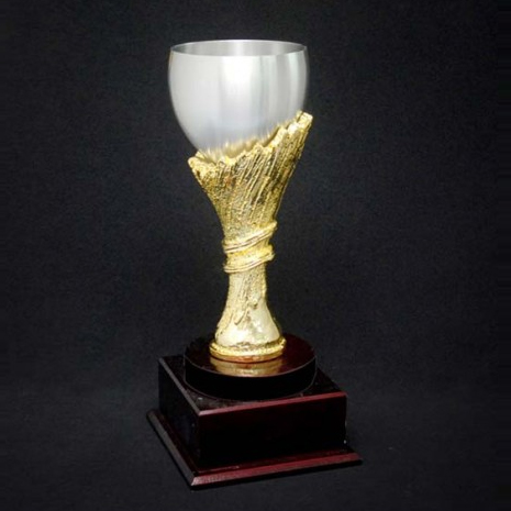 S09 - Pewter Cup Trophy