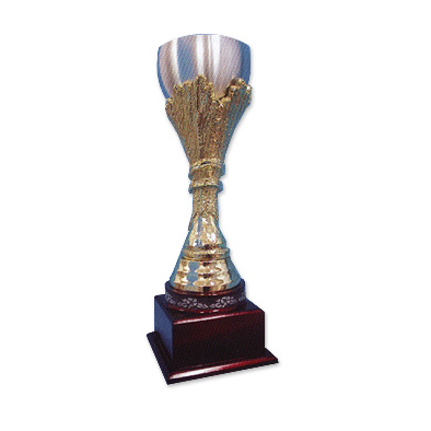 KS9 - Pewter Trophy