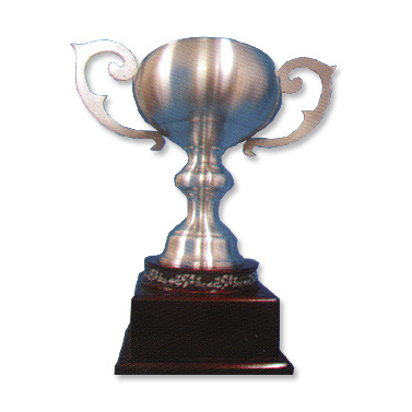 KS73 - Pewter Trophy