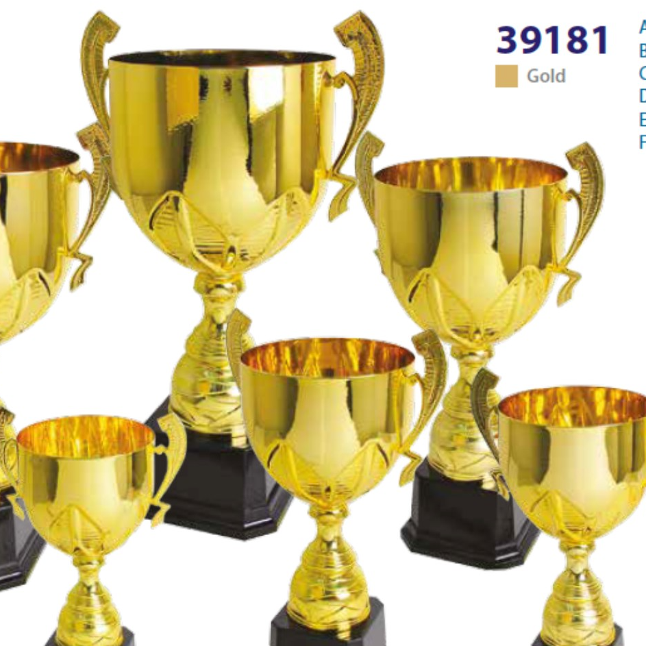 39181 - Challenge Cup