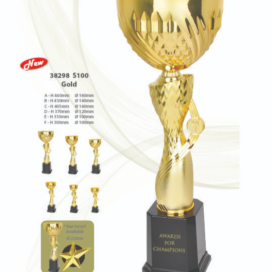 38298 - Metal Cup Trophy