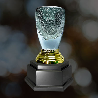 9395 - Exclusive Crystal Trophy