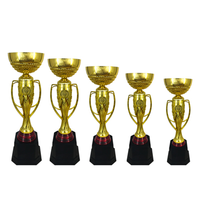 BAW 704 - Metal Cup Trophy