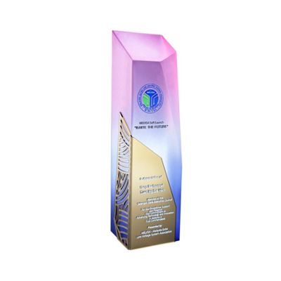 1054 - Acrylic Award