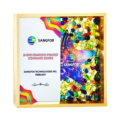 5213 - Exclusive Gem Frame