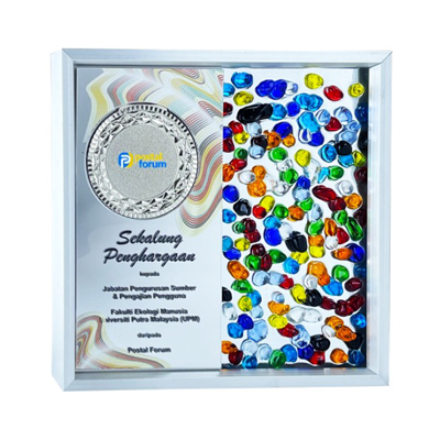 5215 - Exclusive Gem Frame