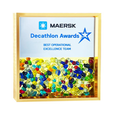 5217 - Exclusive Gem Frame