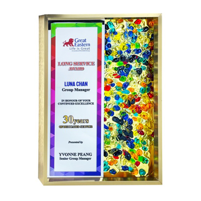 5223 - Exclusive Gem Frame