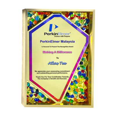 5225 - Exclusive Gem Frame