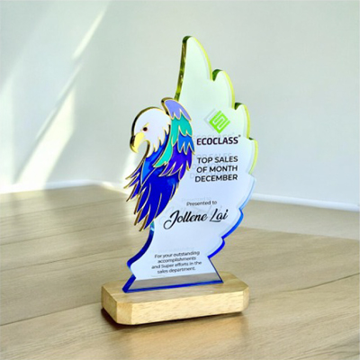 5254 - Innovative Design Acrylic Award