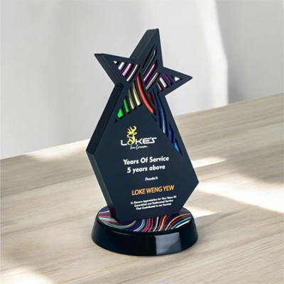 5257 - Innovative Design Acrylic Award