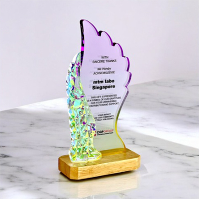 5271 - Innovative Design Acrylic Award