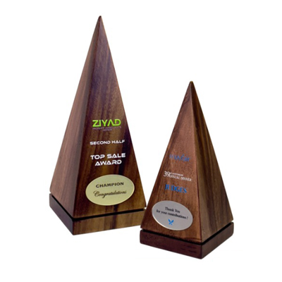 7668 - Wooden Plaque & Trophy