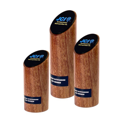7669 - Wooden Plaque & Trophy