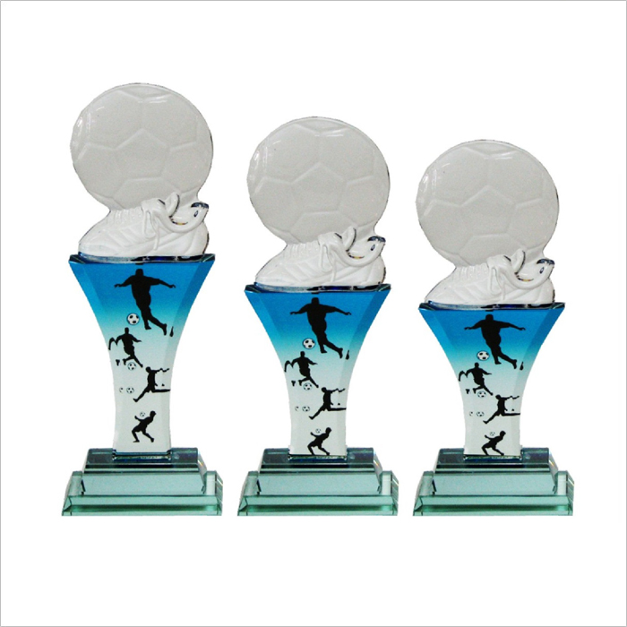 8113 - Exclusive Crystal Glass Awards 