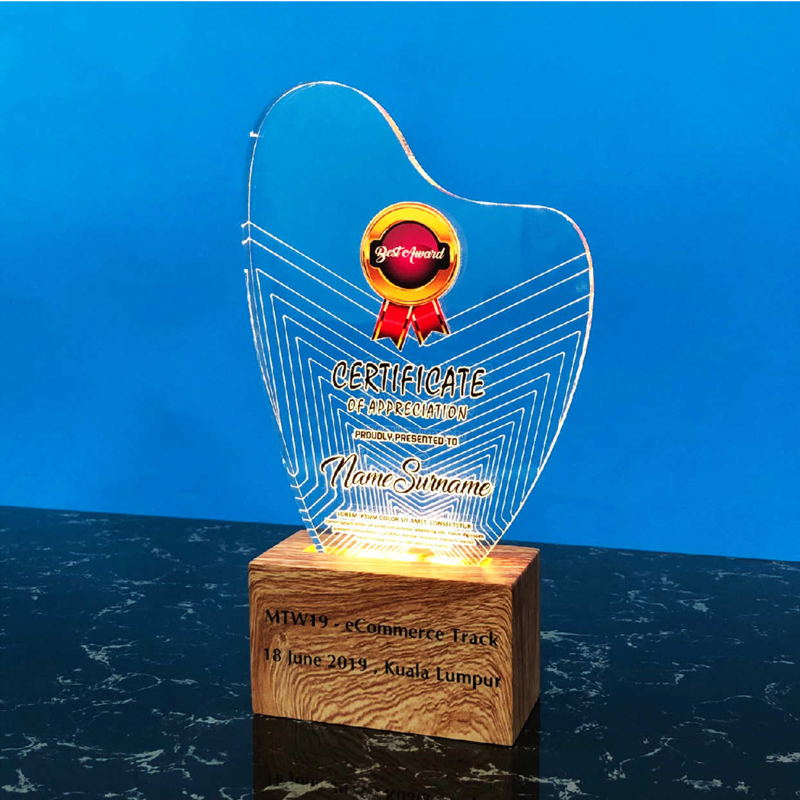 5087 - Acrylic LED Lighting Trophy