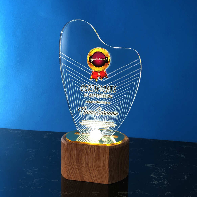 5055 - Acrylic LED Lighting Trophy