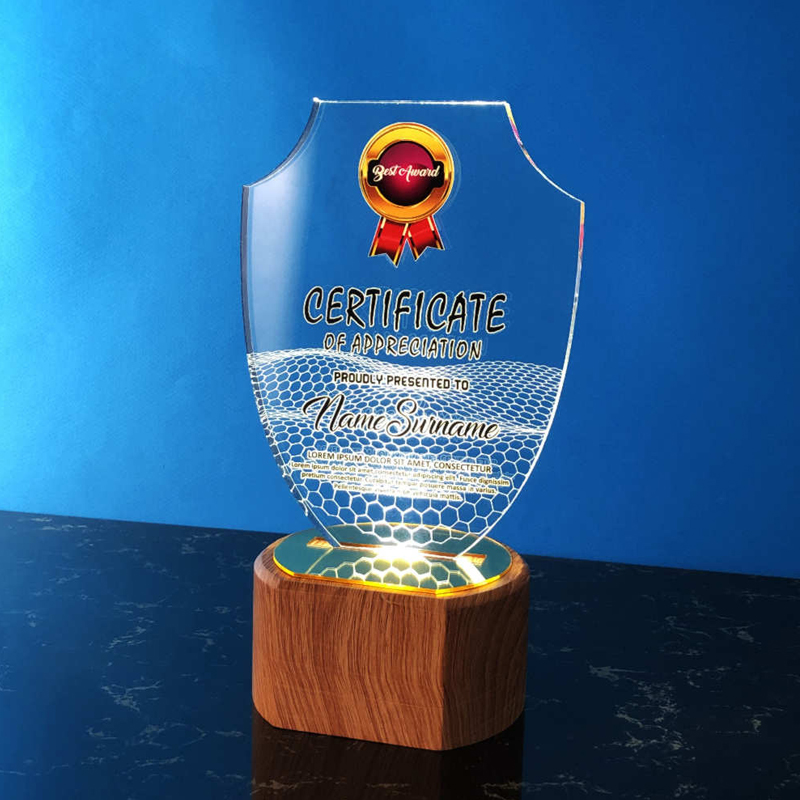 5057 - Acrylic LED Lighting Trophy