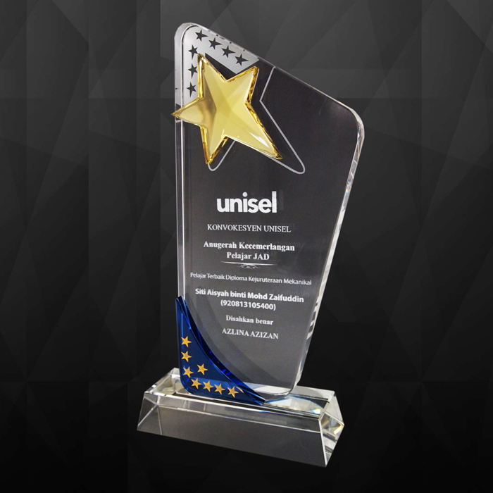 9120 - Exclusive Crystal Star Award