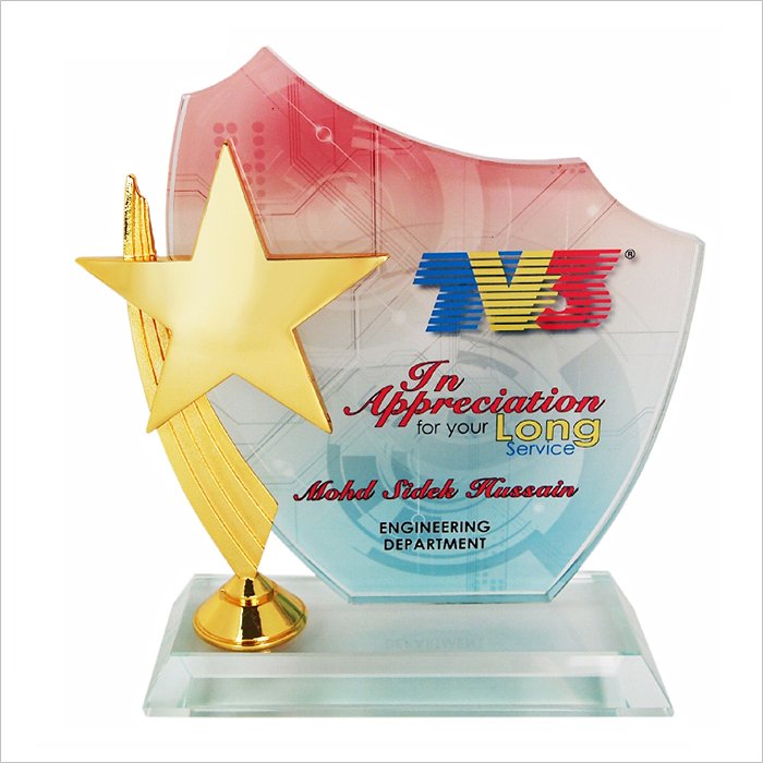 3032 - Exclusive Crystal Star Plaque