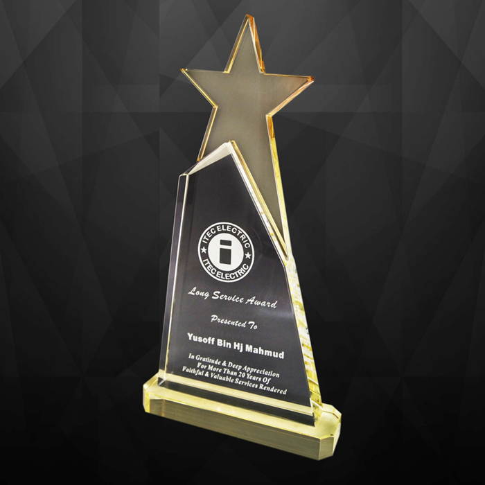 9119 - Exclusive Crystal Star Award