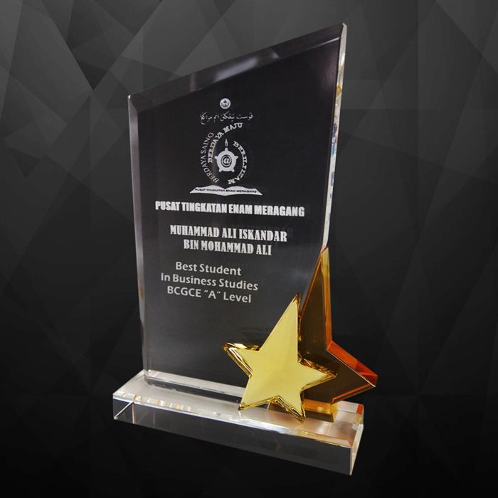 9116 - Exclusive Crystal Star Award